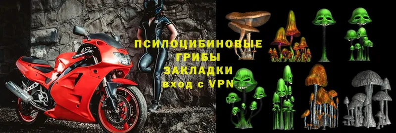 Псилоцибиновые грибы Magic Shrooms  Бронницы 